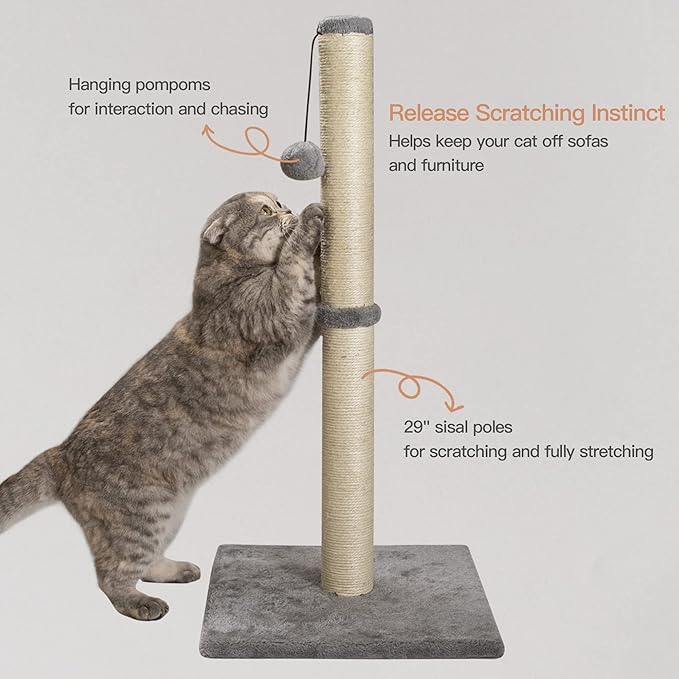 29 Inches Cat Scratching Post, Cat Scratch Post Kitten Scratcher with Sisal Rope, Scratching Post for Indoor Cats with Hanging Ball - PAWPICO