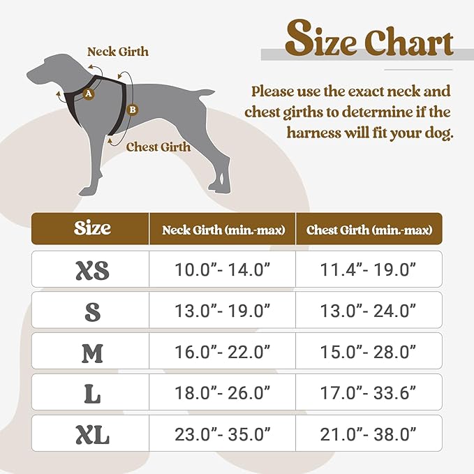 rabbitgoo Dog Harness No Pull with 2 Leash Clips, Adjustable Soft Padded, Reflective Oxford No Choke Pet Vest with Easy Control Handle for Large Dogs, Black, XL rabbitgoo