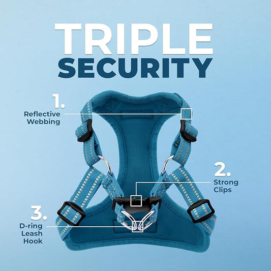 Best Pet Supplies Voyager Adjustable Dog Harness with Reflective Stripes for Walking, Jogging, Heavy-Duty Full Body No Pull Vest with Leash D-Ring, Breathable All-Weather - Harness (Turquoise), S BestPetSuppliesLLC