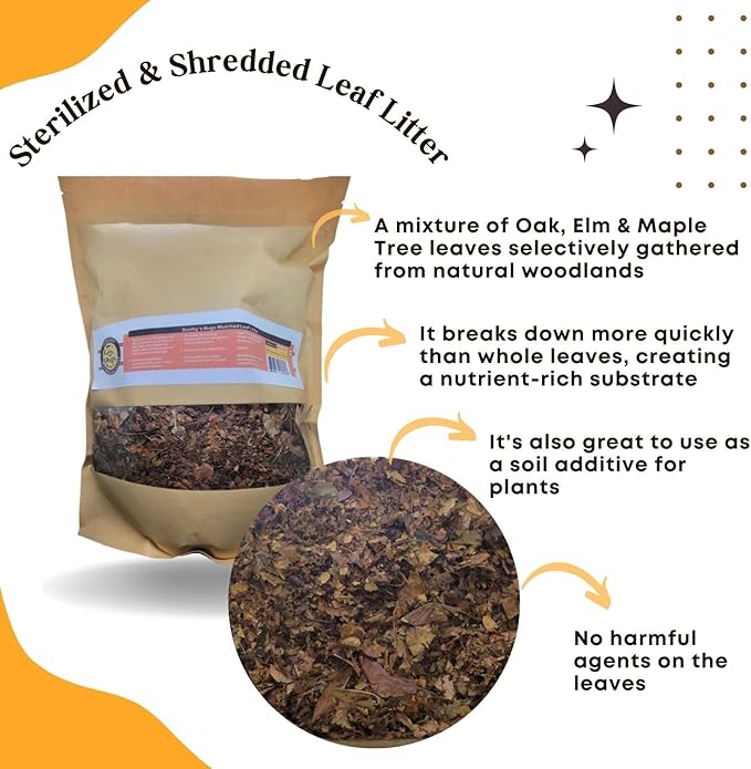 SCOTTY'S BUGS Mulched Leaf Litter for Reptiles, Isopods & Snails, Isopod Substrate, Terrarium Bedding, Organic Leaves from Natural Woodlands, 12-Ounce Pack SCOTTY%27S+BUGS