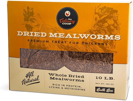 Fluker's Culinary Coop Premium Chicken Treats, High Protein Dried Mealworms, Nutritious Snacks for Chickens, Birds, and Reptiles,10 lbs Box Flukers