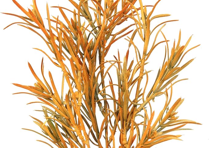 Reptile Plants for Terrarium, Ball Python Tank Decor Accessories fit Bearded Dragon Crested Leopard Gecko Lizard Chameleon Snake - Fake Yellow Rosemary WOLEDOE