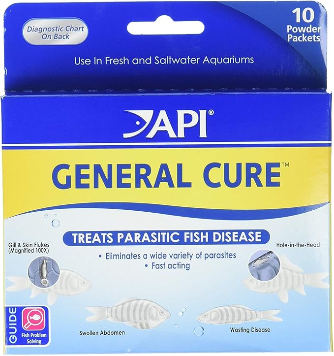 API General Cure Freshwater and Saltwater Fish Powder Medication 10-Count Box (2 Pack) API