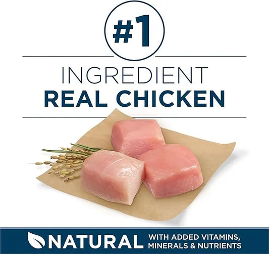 Purina ONE Plus Large Breed Adult Dog Food Dry Formula - 40 lb. Bag - PAWPICO