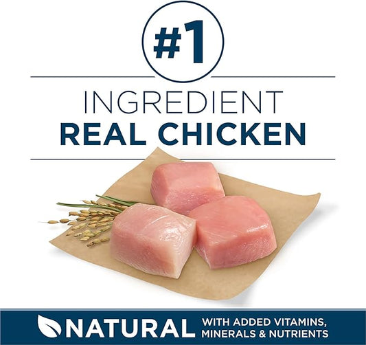 Purina ONE Plus Large Breed Adult Dog Food Dry Formula - 31.1 lb. Bag - PAWPICO