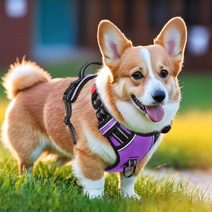Timos Dog Harness Small Sized, No Pull Dog Harness with Neck Lockable Snap,No Choke Front Clip Dog Reflective Harness,Adjustable Metal Rings 3 Buckles,Easy Control Handle for Small Dogs Purple XS Timos