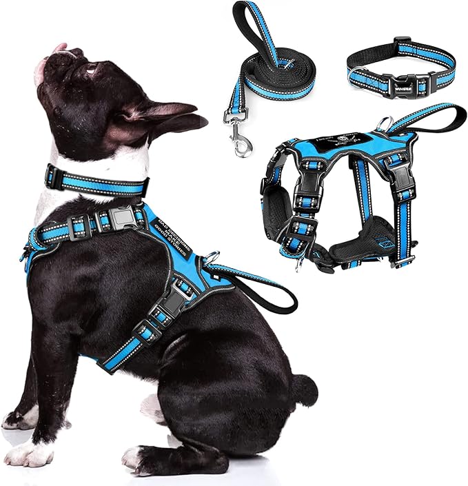 WINSEE Pet Harness Collar and Leash Set, All-in-one Reflective Dog Harness No Pull with Adjustable Buckles for Puppies, Small, Medium, Large, and Extra-Large Dogs (Medium, Blue) WINSEE