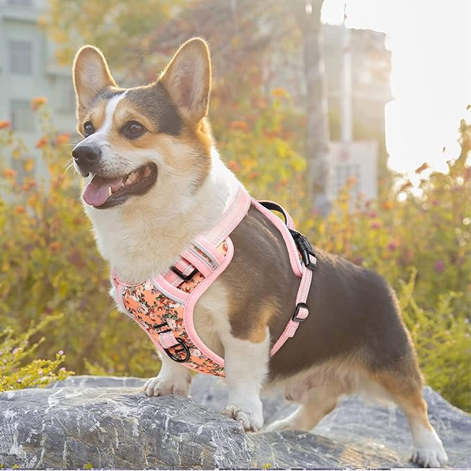 Timos Dog Harness, NO Need Go Over Dogs Head 3 Snap Buckles Pet Harness with 2 Leash Clips, Adjustable Soft Padded No-Pull Dog Harness, Reflective No-Choke Pet Oxford Vest for Small Medium Large Dogs Timos