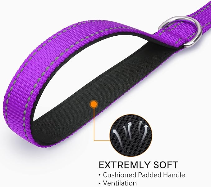 Joytale Double-Sided Reflective Dog Leash, 6 FT/5 FT/4 FT, Padded Handle Nylon Heavy Duty Leashes for Medium & Large Dogs Walking, Purple, 4FT Joytale
