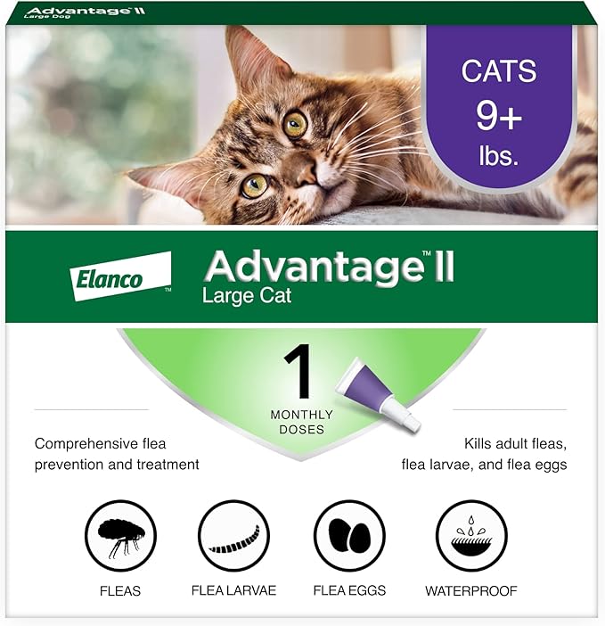 Advantage II Large Cat Vet-Recommended Flea Treatment & Prevention | Cats Over 9 lbs. | 1-Month Supply Advantage
