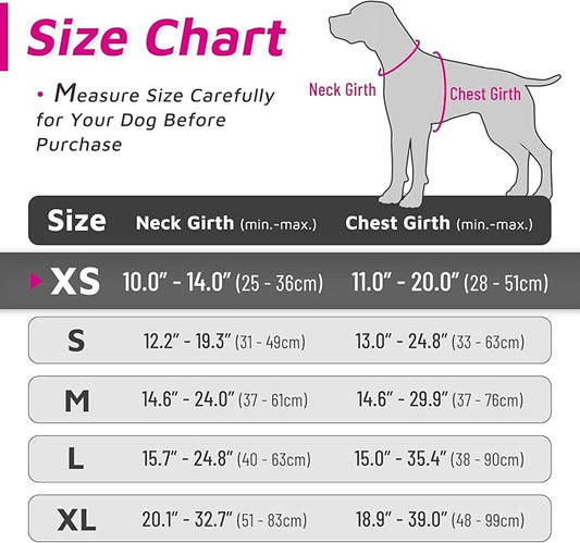 Eagloo Small Dog Harness No Pull, Service Vest with Reflective Strips and Control Handle, Adjustable and Comfortable for Easy Walking, No Choke Pet Harness with 2 Metal Rings, Rose Red, XS GoExplorewithEagloo