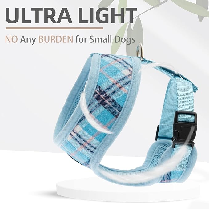 PUPTECK Soft Mesh Dog Harness and Leash Set Pet Puppy Cat Comfort Padded Vest No Pull Harnesses, Light Blue, M PUPTECK