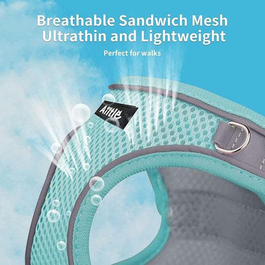 AIITLE Dog Harness, Spring No-Pull Cat Harness with a Leash, Adjustable Reflective Dog Vest, Cat Harness Escape Proof, Outdoor Walking, Camping for Extra Small Dogs and House Cats Pure Turquoise XXXS AIITLE-FORPETSBETTERLIFE