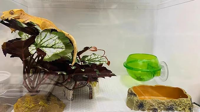 Woyrise Reptile Artificial Plants for Terrarium Decor, Amphibian Habitat Hideout Bearded Dragon Tank Decorations fit Crested Gecko Leopard Lizard Chameleon Ball Python Snake Frog - Saxifrage Woyrise