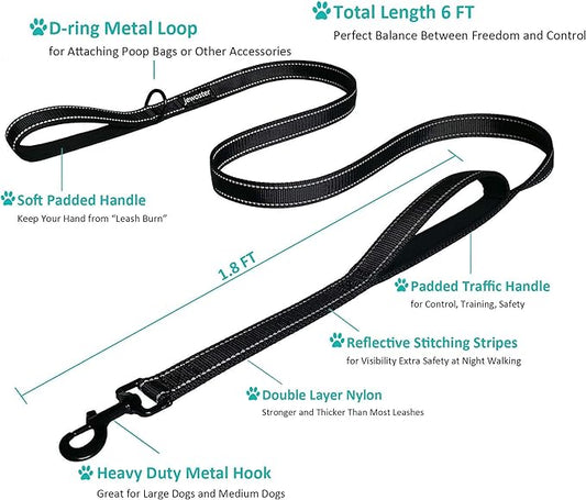 Heavy Duty Dog Leash - 2 Handles by Padded Traffic Handle for Extra Control, 6foot Long - Perfect for Medium to Large Dogs (Dark Red, 6 ft) JEWOSTER
