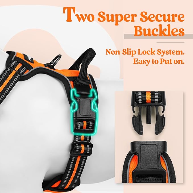 rabbitgoo Dog Harness No Pull with 2 Leash Clips, Adjustable Soft Padded, Reflective Oxford No Choke Pet Vest with Easy Control Handle for Small Dogs,Orange,S rabbitgoo