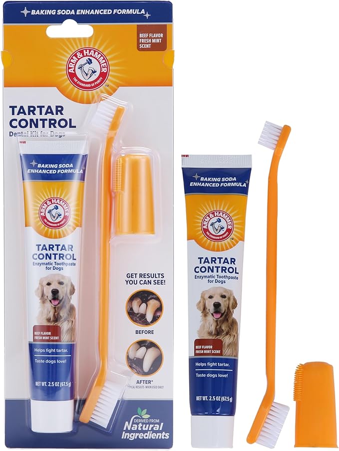 Arm & Hammer for Pets Tartar Control Kit for Dogs | Contains Toothpaste, Toothbrush & Fingerbrush | Reduces Plaque & Tartar Buildup | Safe for Puppies, 3-Piece , Beef Flavor CompanyofAnimals