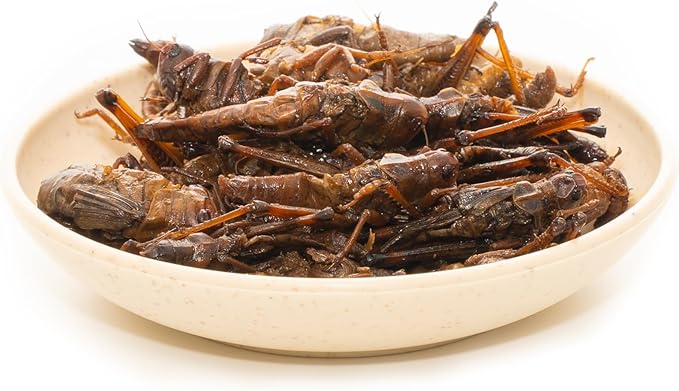 6 Pack Canned Grasshoppers for Reptiles, Fish, Birds and Small Animals, Grasshoppers, Healthy High Protein Treat, Bearded Dragon Food 1.2 Ounces Each Jadingfarm
