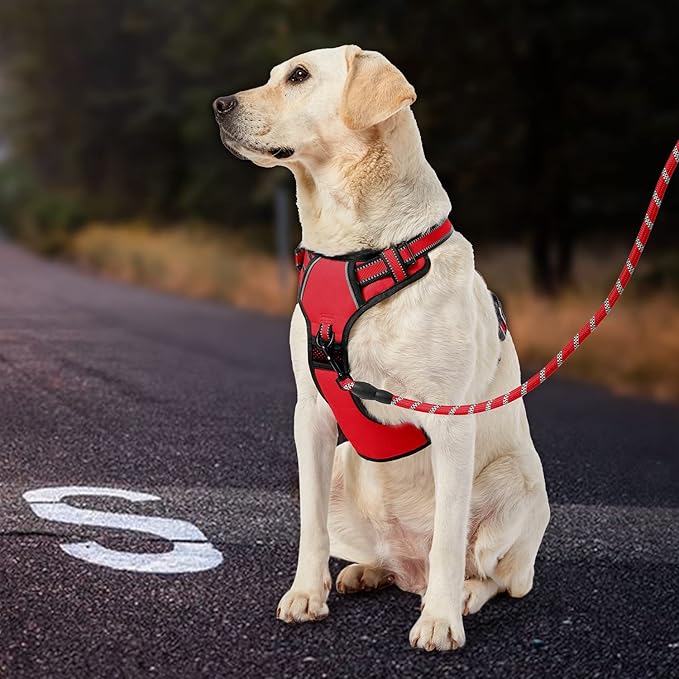 IVY&LANE No Pull Dog Harness for Large Dogs, Dog Vest Harness with Leash, Safety Belt and Storage Strap, Fully Adjustable Harness, 360° Reflective Strip, Soft Handle (Red, L) IVYLANE