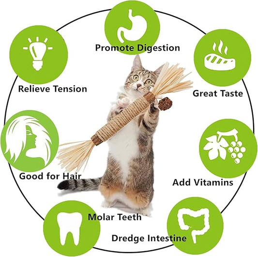Cat Toys 12Pack Silvervine Chew Stick Kitten Treat Catnip Toy Kitty Natural Stuff Catnip for Cleaning Teeth Indoor Dental Snack Interactive - PAWPICO