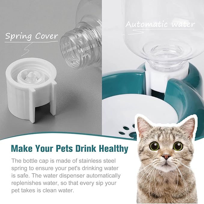 Dog Bowls, Cat Food and Water Bowl Set with Water Dispenser and Stainless Steel Bowl for Cats and Small Dogs - Dark Green - PAWPICO
