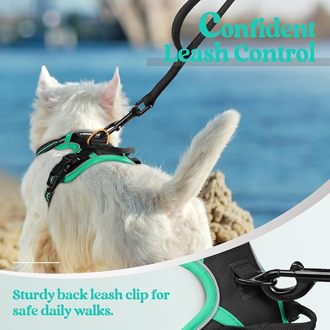 rabbitgoo Dog Harness No Pull with 2 Leash Clips, Adjustable Soft Padded, Reflective Oxford No Choke Pet Vest with Easy Control Handle for Puppy, Black & Turquoise, XS rabbitgoo