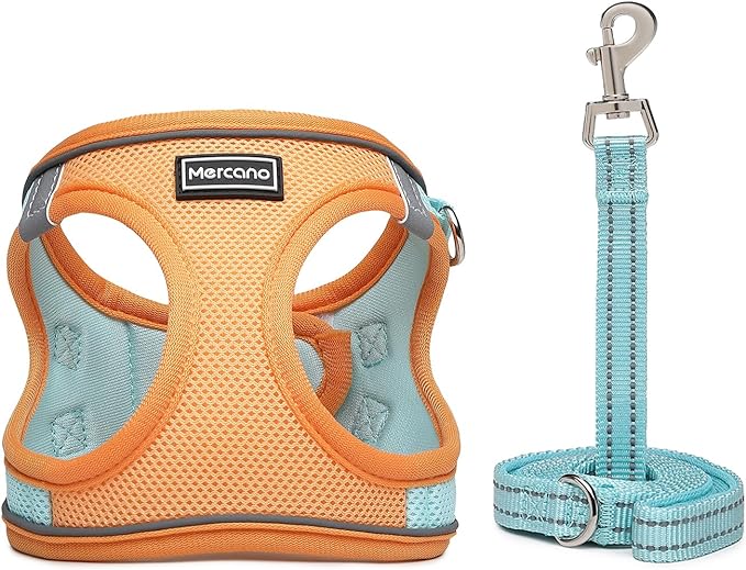 Mercano Soft Mesh Dog Harness and Leash Set, No-Chock Step-in Reflective Breathable Lightweight Easy Walk Escape Proof Vest Harnesses with Safety Buckle for Small Medium Dogs, Cats (XS, Orange Blue) PAWPICO