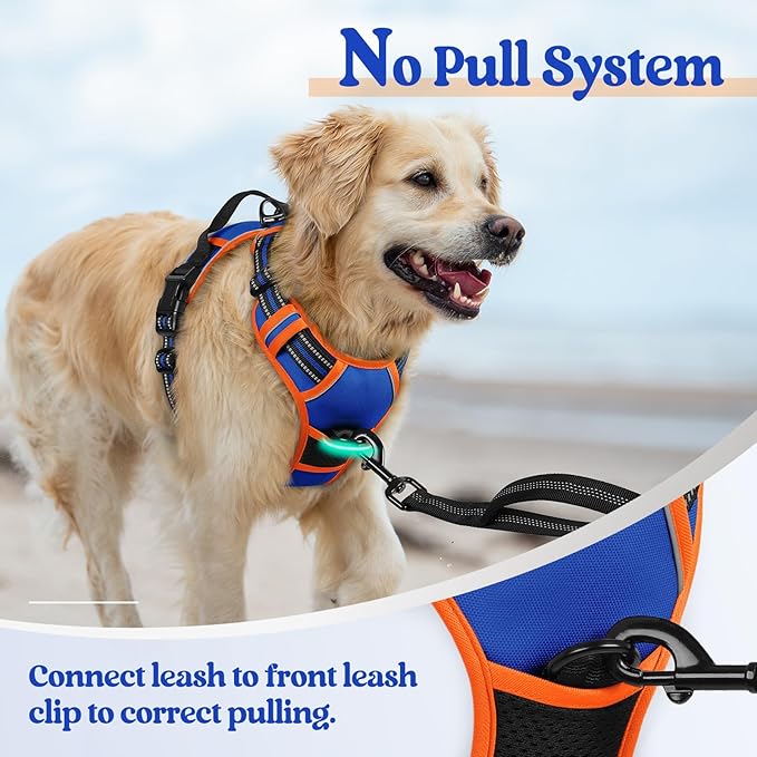 rabbitgoo Dog Harness No Pull with 2 Leash Clips, Adjustable Soft Padded, Reflective Oxford No Choke Pet Vest with Easy Control Handle for Large Dogs, Blue & Orange, L rabbitgoo