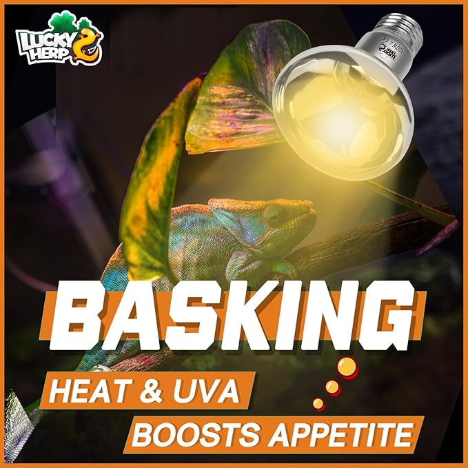 LUCKY HERP Heat Lamp Bulbs, UVA Intense Basking Spot Light Reptile Heat Lamp(Clear) 100W, Simulated Natural Sunlight Heat Lamp Bulbs for Reptile, Bearded Dragon, Amphibian, Turtle, Snake, Lizard LUCKYHERP