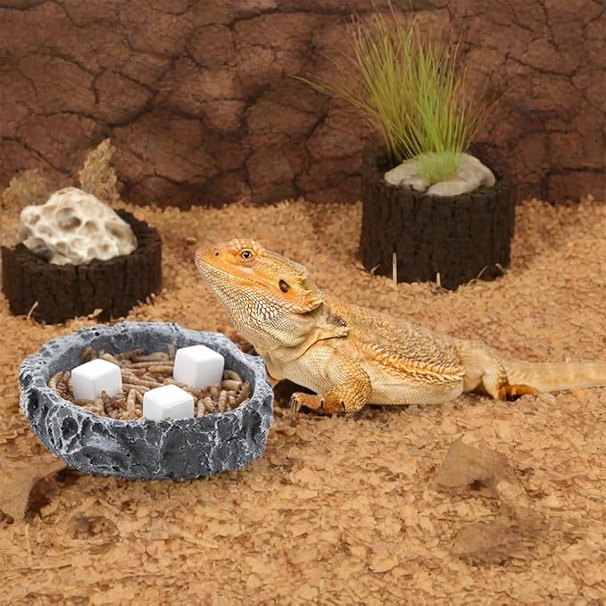 DQITJ 24 Pcs Reptile Calcium Stone Natural Calcium Mineral for Turtle Tortoise Lizard Frog Chameleon Reptiles DQITJ
