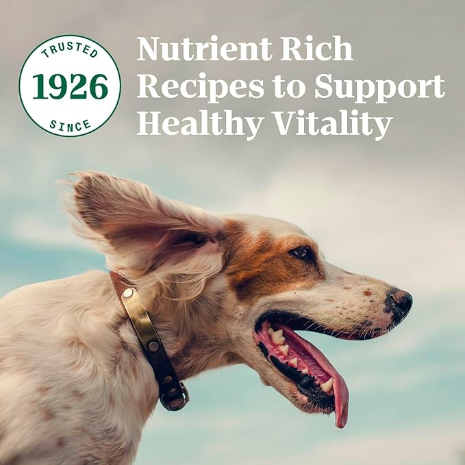 Nutro Natural Choice Small Bites Adult Dry Dog Food, Salmon & Brown Rice Recipe, 28 lb. Bag - PAWPICO