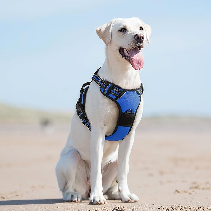 Eagloo Dog Harness for Large Dogs, No Pull Service Vest with Reflective Strips and Control Handle, Adjustable and Comfortable for Easy Walking, No Choke Pet Harness with 2 Metal Rings, Blue, L GoExplorewithEagloo