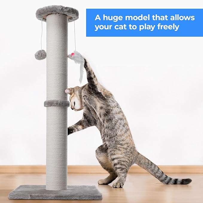 34 Inch Tall Cat Scratching Post for Multi Cat - Cat Scratching Post for Indoor Cats and Kitten with Velvet Large Diameter Scratching Post Top & 2 Hanging Ball Toy - PAWPICO