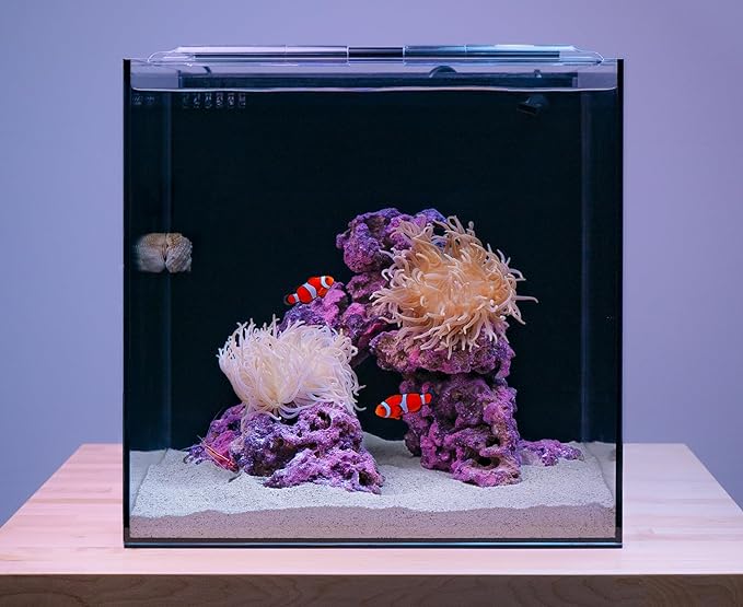 15 Gallon Beginner Clownfish Saltwater Aquarium Kit with App Controlled Smart LED Lighting, Filtration, Decor, and Setup Guide HelloReef