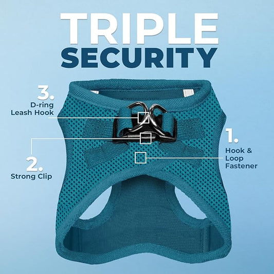 Voyager Step-In Air Dog Harness - All Weather Mesh, Reflective, No Pull Harness for Small, Medium Dogs, Cats - Secure with Hook & Loop Fastener, Buckle, Double D-Rings - Turquoise, XXS BestPetSuppliesLLC