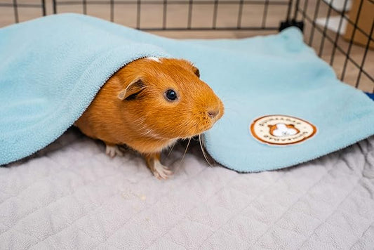 GuineaDad Liner | Guinea Pig Fleece Cage Liners | Guinea Pig Bedding | Burrowing Pocket Sleeve | Extra Absorbent Bamboo | Waterproof Bottom (C&C 2x4, Blue) GuineaDad