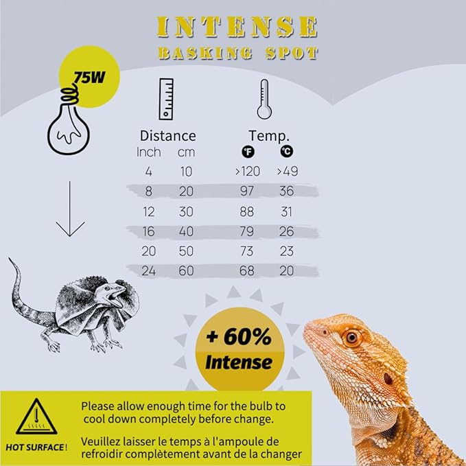 Reptile Heat Lamp, 2 Pack 75W Intense Basking Bulbs Light for Reptiles, UVA Daylight Basking Light for Bearded Dragon, Lizard, Gecko,Turtle, Reptile Heat Bulb ReptiKing