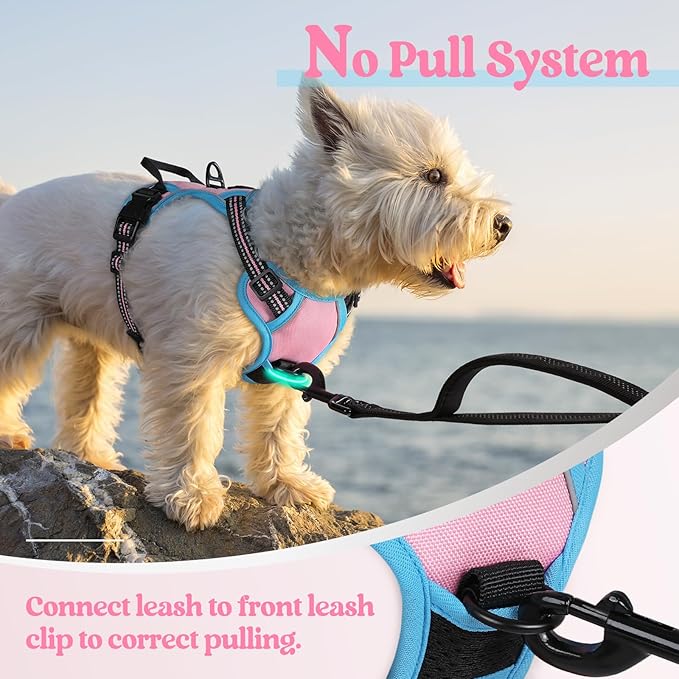 rabbitgoo Dog Harness No Pull with 2 Leash Clips, Adjustable Soft Padded, Reflective Oxford No Choke Pet Vest with Easy Control Handle for Puppy, Pink & Blue, XS rabbitgoo
