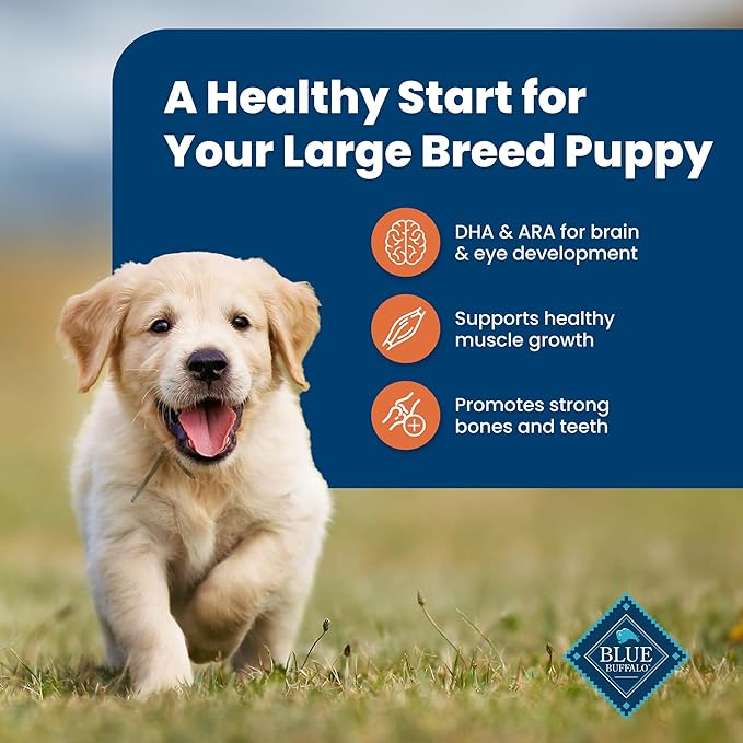 Blue Buffalo Life Protection Formula Large Breed Puppy Dry Dog Food with DHA, Vital Nutrients & Antioxidants, Made with Natural Ingredients, Chicken & Brown Rice Recipe, 15-lb. Bag - PAWPICO