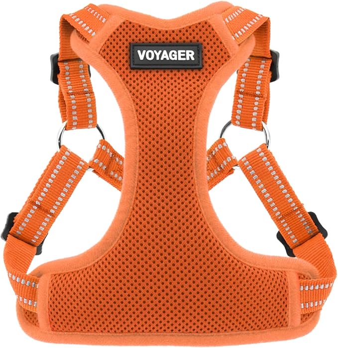 Best Pet Supplies Voyager Adjustable Dog Vest Harness Breathable No Pull Harness for Small, Medium, Large Dogs, Heavy Duty Harness for Walking, Jogging, Easy Step-in, Reflective Stripes - (Orange), L BestPetSuppliesLLC