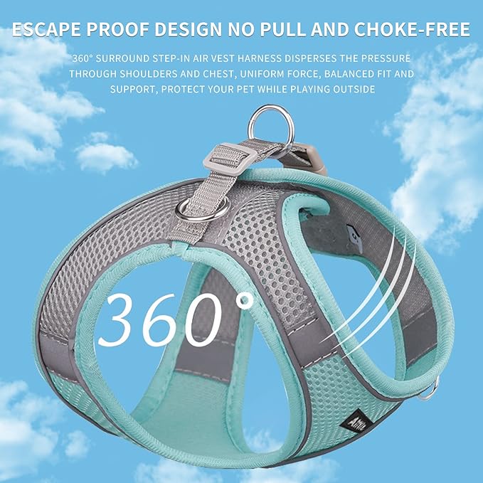 AIITLE Comfortable Dog Harness and Leash Set for Walking - Spring Step in Vest Harness,Reflective Bands, Adjustable No Pull Puppy Essentials, for Small Dogs and House Cats Turquoise XS AIITLE-FORPETSBETTERLIFE