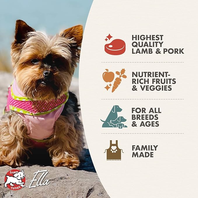Fromm Four-Star Nutritionals Lamb & Lentil Dog Food - Premium Dry Dog Food - Lamb Recipe - 4 lb - PAWPICO