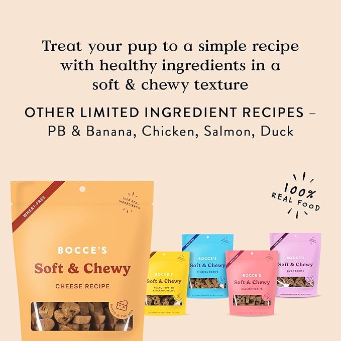 Bocce's Bakery Oven Baked Cheese Recipe Treats for Dogs, Wheat-Free Everyday Dog Treats, Made with Real Ingredients, Baked in The USA, All-Natural Soft & Chewy Cookies, Cheese, 6 oz - PAWPICO
