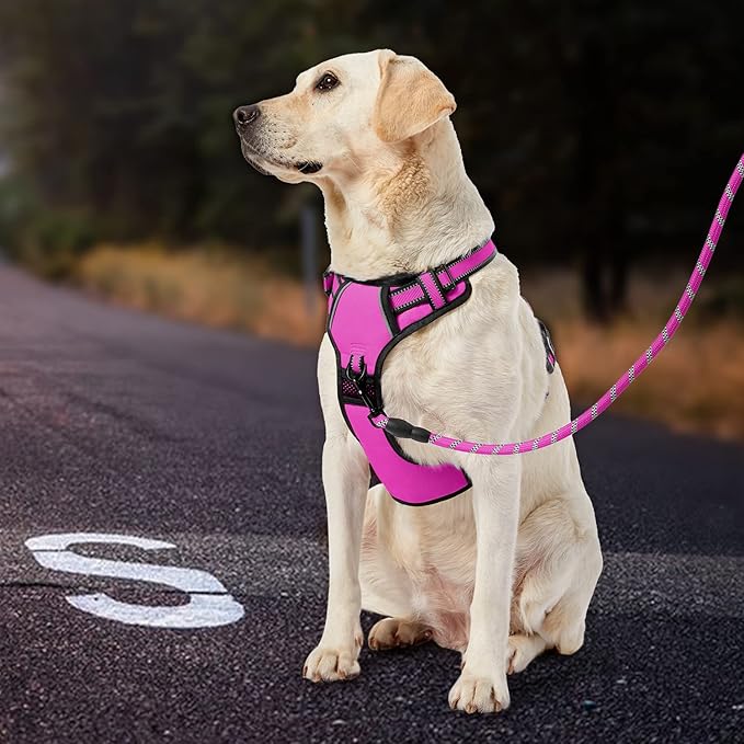 IVY&LANE No Pull Dog Harness for Medium Dogs, Dog Vest Harness with Leash, Safety Belt and Storage Strap, Fully Adjustable Harness, 360° Reflective Strip, Soft Handle (Fuchsia Pink,M) IVYLANE