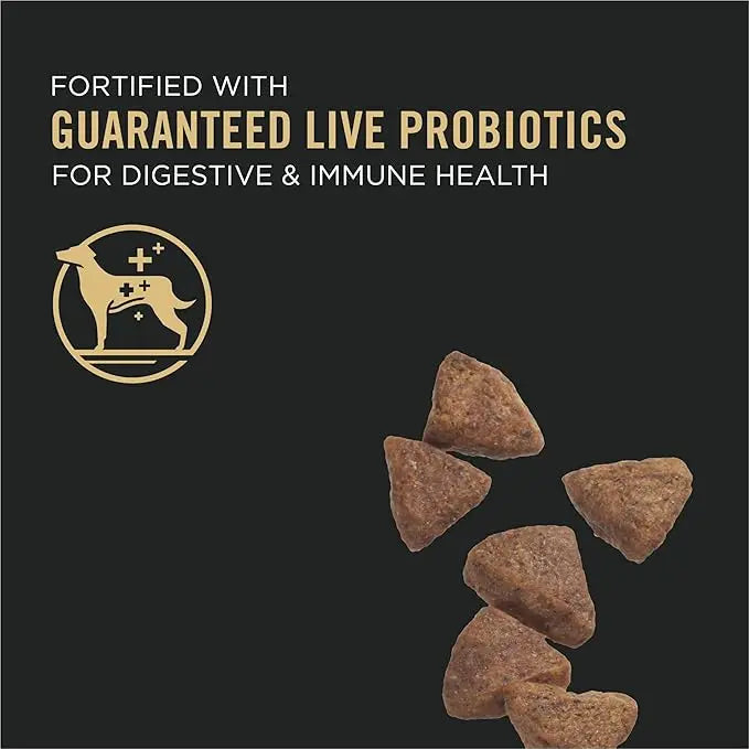Purina Pro Plan Sensitive Skin and Stomach Dog Food With Probiotics for Dogs, Salmon & Rice Formula - 41 lb. Bag - PAWPICO