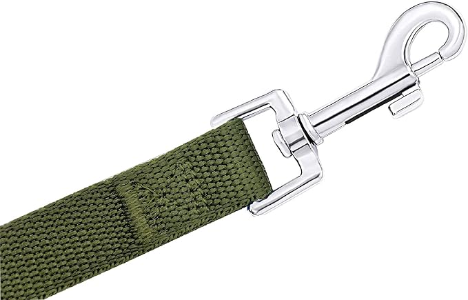 15ft 20ft 30ft 40ft 50ft Long Dog/Puppy Lead Obedience Recall Training Dog Leashes for Small Medium Dogs Camping, Training, Play, or Backyard (15 FT, Green) PETGOGO