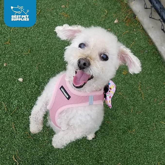 Voyager Step-in Air Dog Harness - All Weather Mesh, Reflective, No Pull Harness for Small, Medium Dogs, Cats - Secure with Hook & Loop Fastener, Buckle, Double D-Rings - Pink, XL BestPetSuppliesLLC