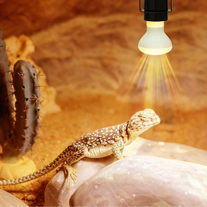 VIHOSE 4 Pcs Reptile Ceramic Heat Lamp Holder Pet Heater Bracket Reptile Light Fixture Heat Lamp Fixture for Heat Lamp Bulb Amphibian Pet Terrariums Habitat Lizard Tortoise, No Bulb Included (Black) VIHOSE
