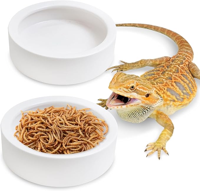 Tfwadmx 2 Pack Reptile Food Bowl, Ceramic Water Feeder Bowl, Reptile Worm Feeding Dish for Lizard Turtle Bearded Dragon Anoles Crested Gecko Hermit Crab Leopard Gecko Chameleon Corn Snake Tfwadmx