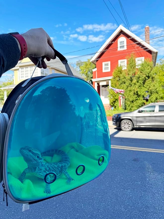 Guinea Pig Carrier,Guinea Pig Carrier for 2,Reptile Travel Carrier for Lizards Sugar Glider Hedgehog Rat Parrot Birds (Black-Blue, Backpack+Harness Leash) WEVONIGU